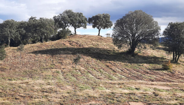 Terrain  à vendre Calmeilles 66400