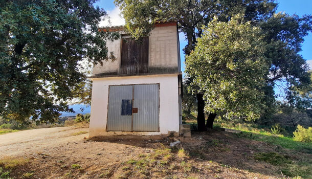 Terrain  à vendre Calmeilles 66400