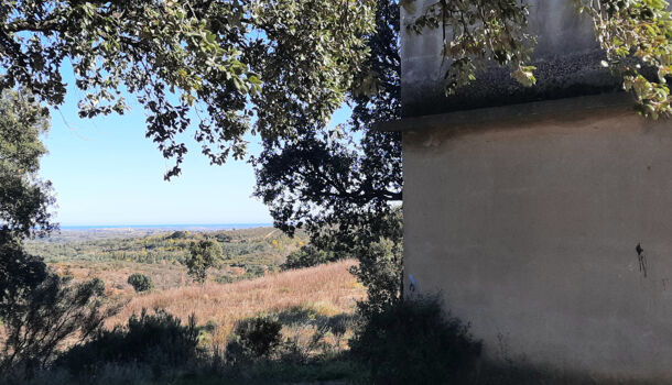 Terrain  à vendre Calmeilles 66400