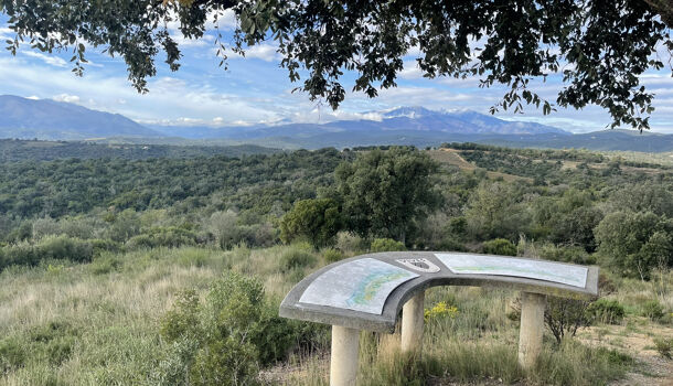 Terrain  à vendre Calmeilles 66400