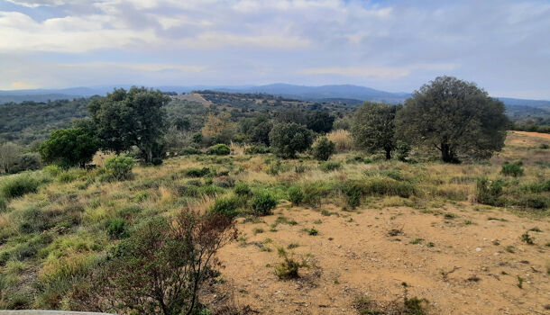 Terrain  à vendre Calmeilles 66400