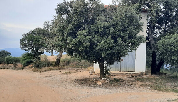 Terrain  à vendre Calmeilles 66400