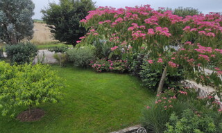 Photo N° 4