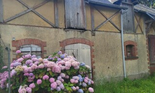 Photo N° 3