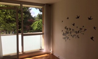 Photo N° 4