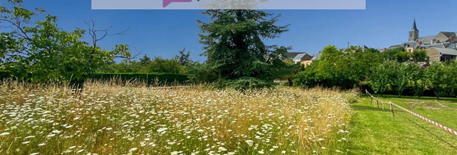 Terrain   m² à vendre à Beaulieu-sur-Layon (49750)