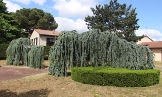 Photo N° 3