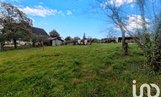 Photo N° 14