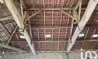 Photo N° 6