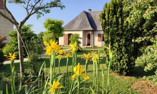 Appartement 1 Pièce 24 m² à louer à Montreuil-Bellay (49260)