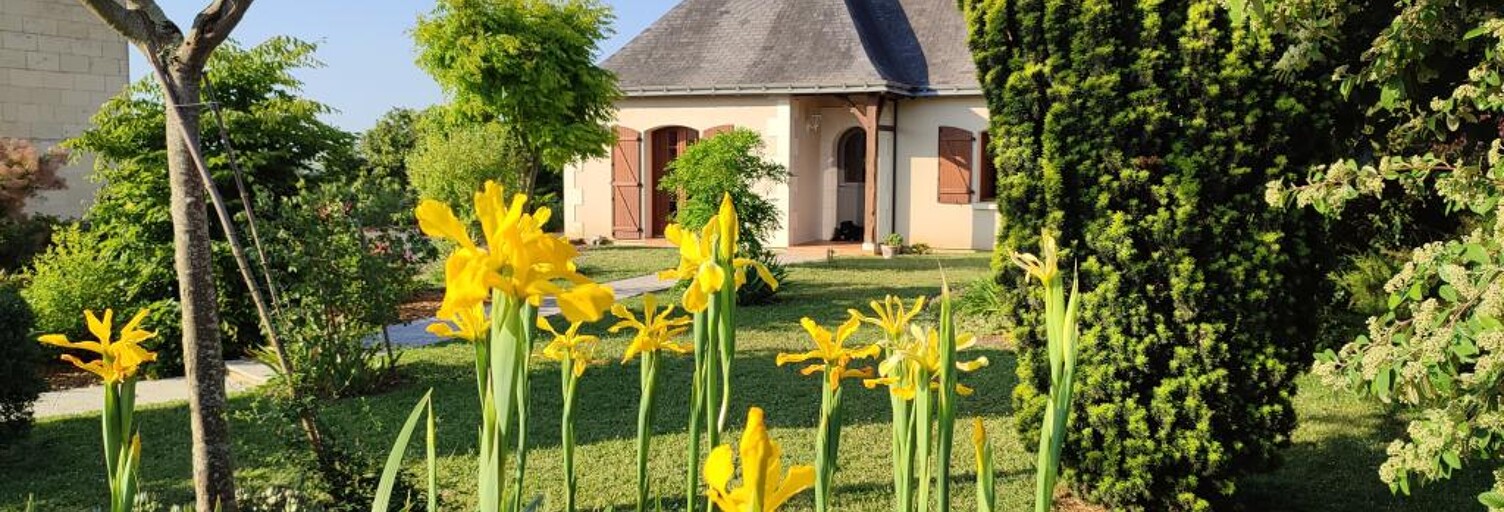 Appartement 1 Pièce 24 m² à louer à Montreuil-Bellay (49260)