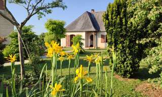 Appartement 1 Pièce 24 m² à louer à Montreuil-Bellay (49260)