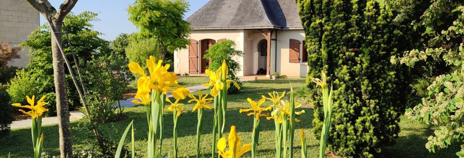 Appartement 1 Pièce 24 m² à louer à Montreuil-Bellay (49260)