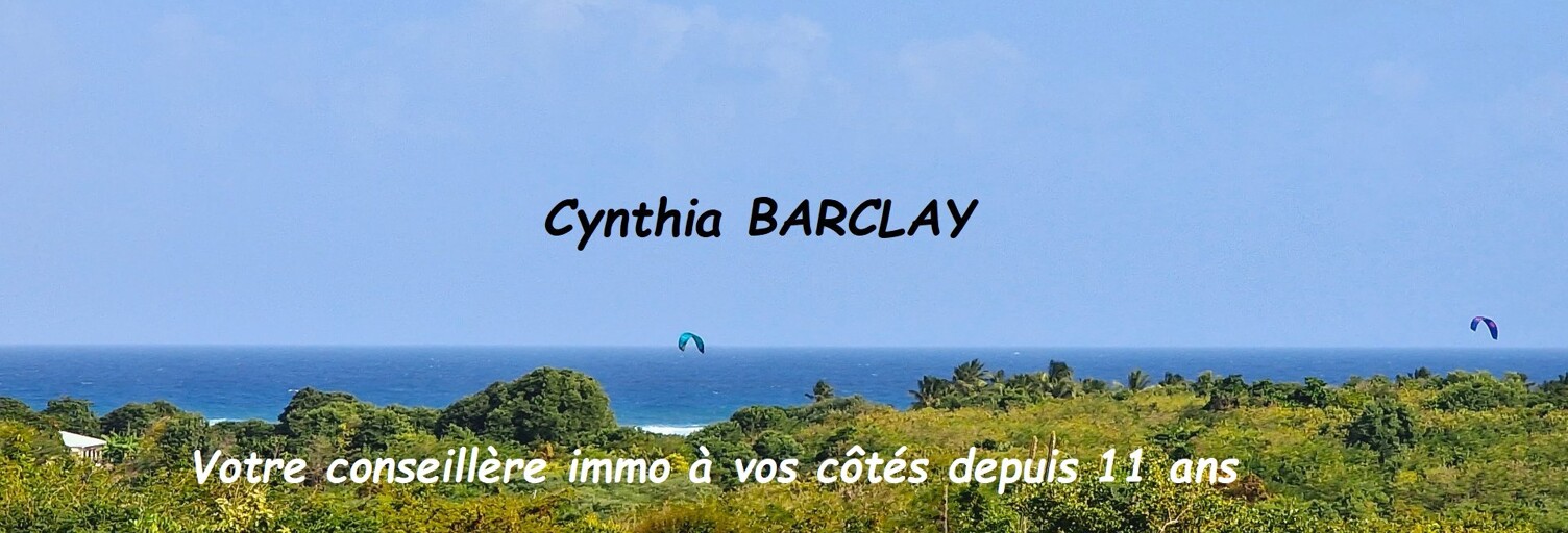 Terrain  1099 m² à vendre à Sainte-Anne (97227)