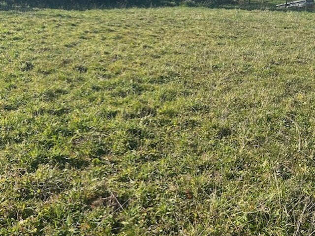Rare, TERRAIN à bâtir à Beaupuy — photo du bien