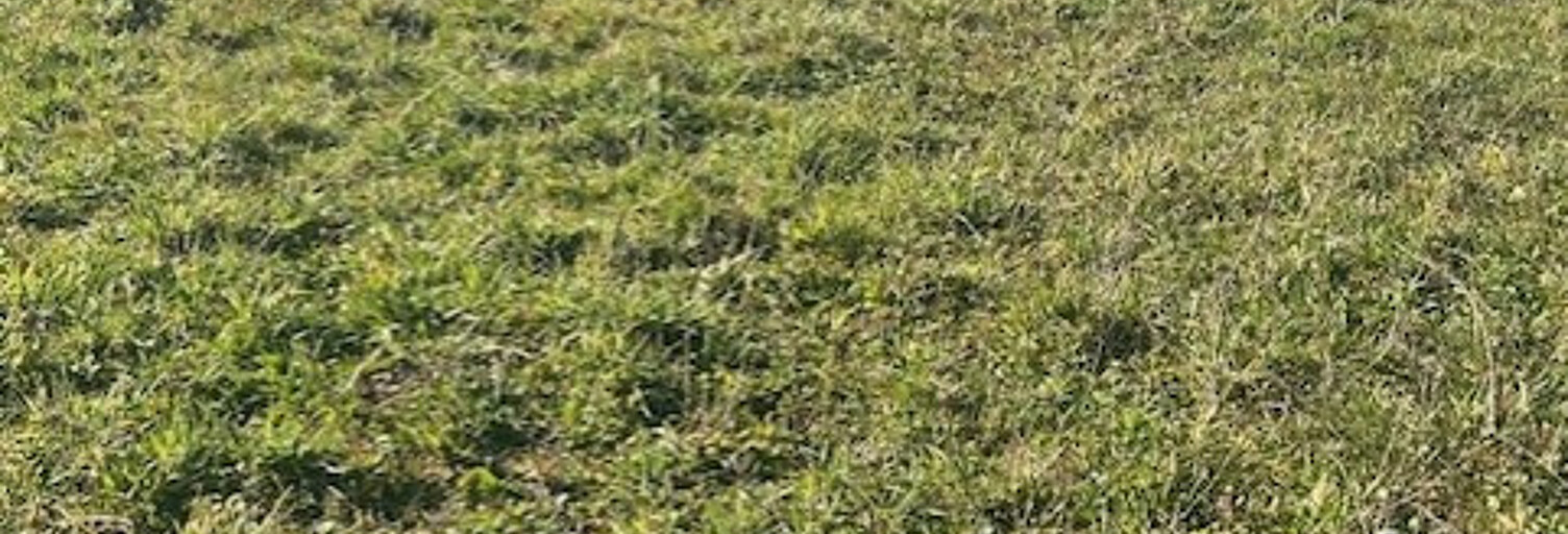 Terrain  939 m² à vendre à Beaupuy (47200)