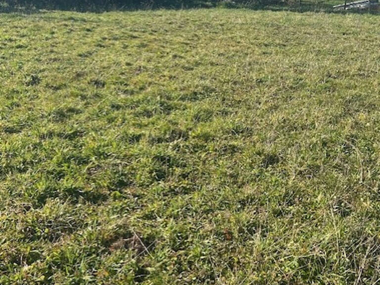 Rare, TERRAIN à bâtir à Beaupuy — photo 1