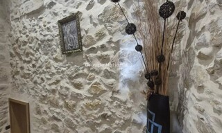 Photo N° 9