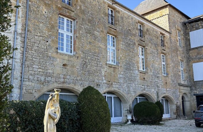 Château — photo 3