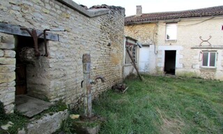 Photo N° 16