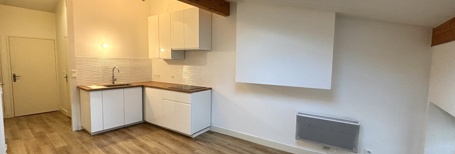 Appartement 3 Pièces 44 m² à louer à Saint-Étienne (42000)