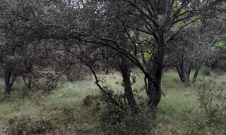 Photo N° 4