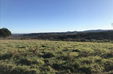 terrain  pièces 1828 m2 à vendre à Chabrignac (19350)