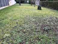 Terrain à bâtir de 0 pièces principales — photo 2