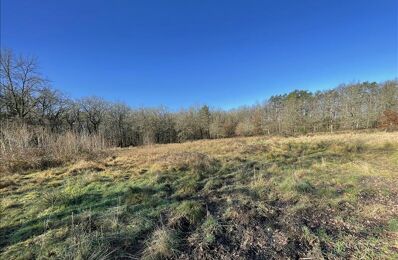 terrain  pièces 11041 m2 à vendre à La Ferté-Imbault (41300)