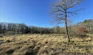 Terrain  11041 m² à vendre à La Ferté-Imbault (41300)