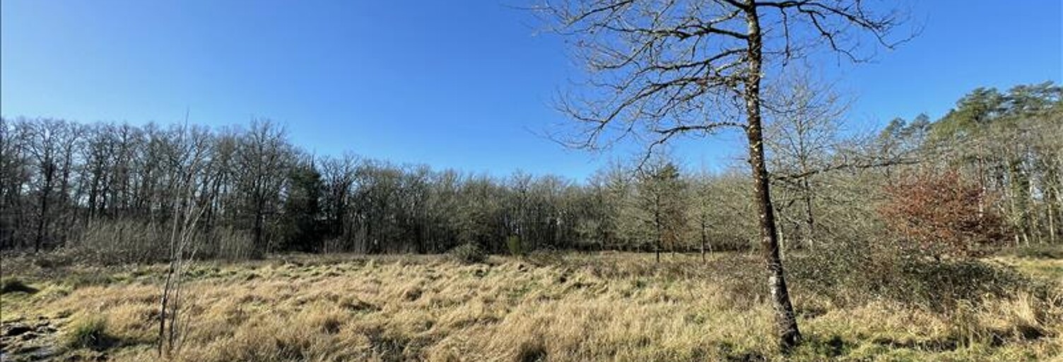 Terrain  11041 m² à vendre à La Ferté-Imbault (41300)