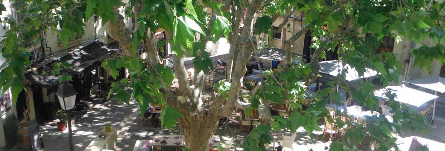 Appartement 1 Pièce 28 m² à vendre à Montpellier (34000)