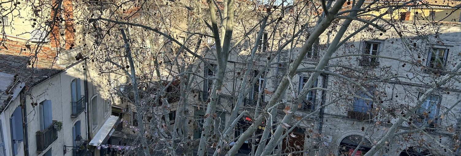 Appartement 1 Pièce 26 m² à vendre à Montpellier (34000)