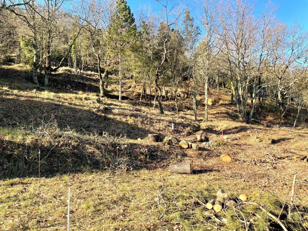 Terrain  à vendre Salavas 07150