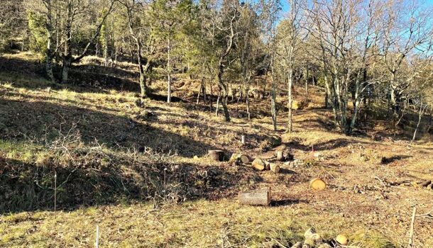 Terrain  à vendre Salavas 07150