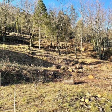 Terrain  80000 €