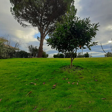 Terrain  229800 €
