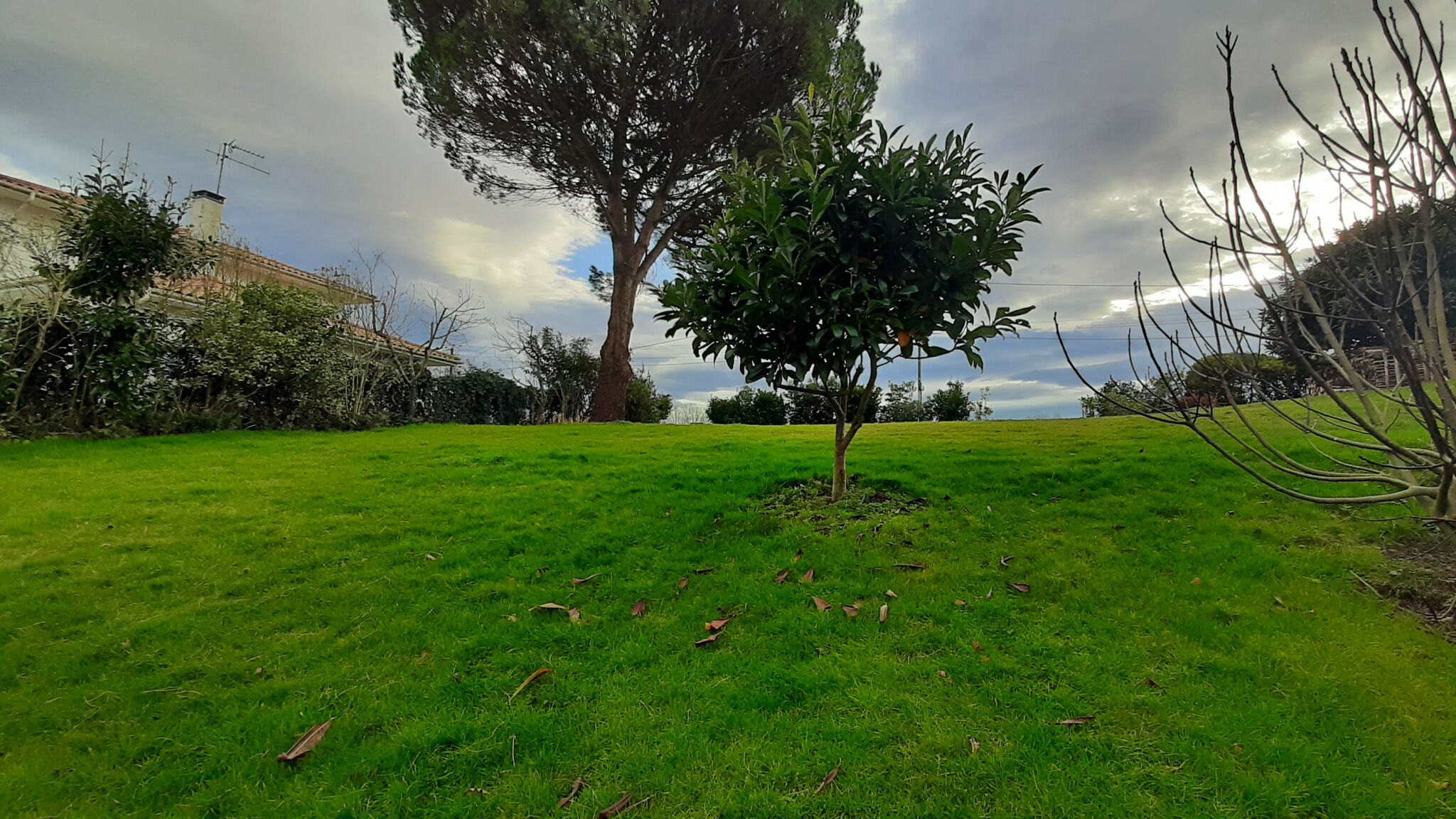 Terrain  à vendre Saint-Martin-de-Seignanx 40390