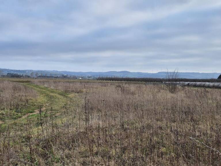Terrain constructible sur la commune de Albon — photo 1