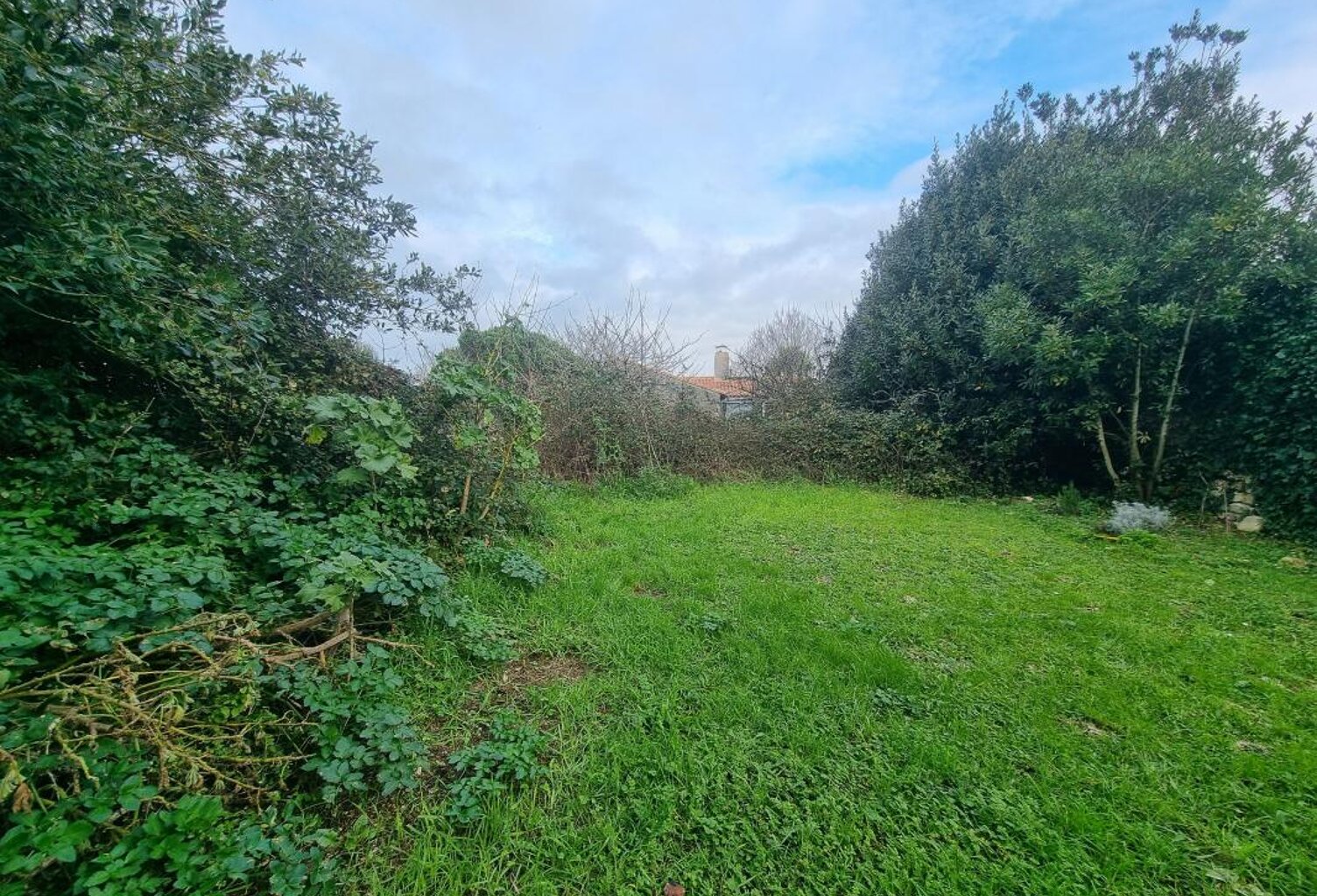 Terrain À Vendre — photo 1