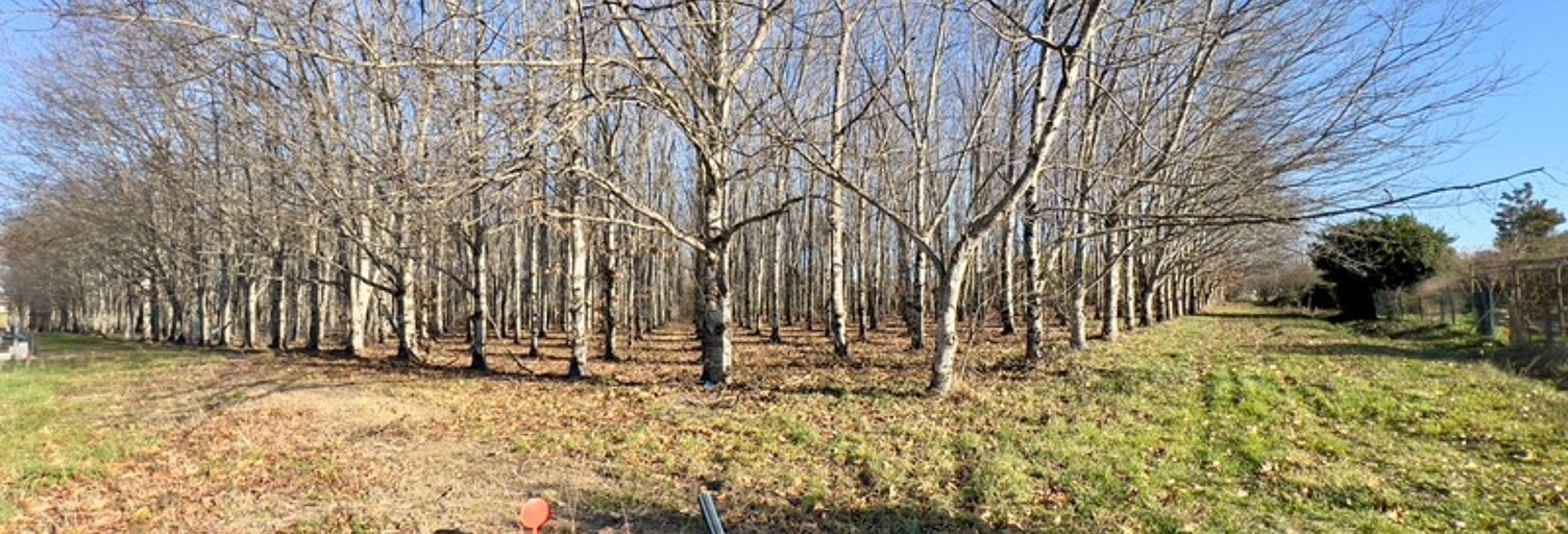 Terrain  5692 m² à vendre à Montauban (82000)