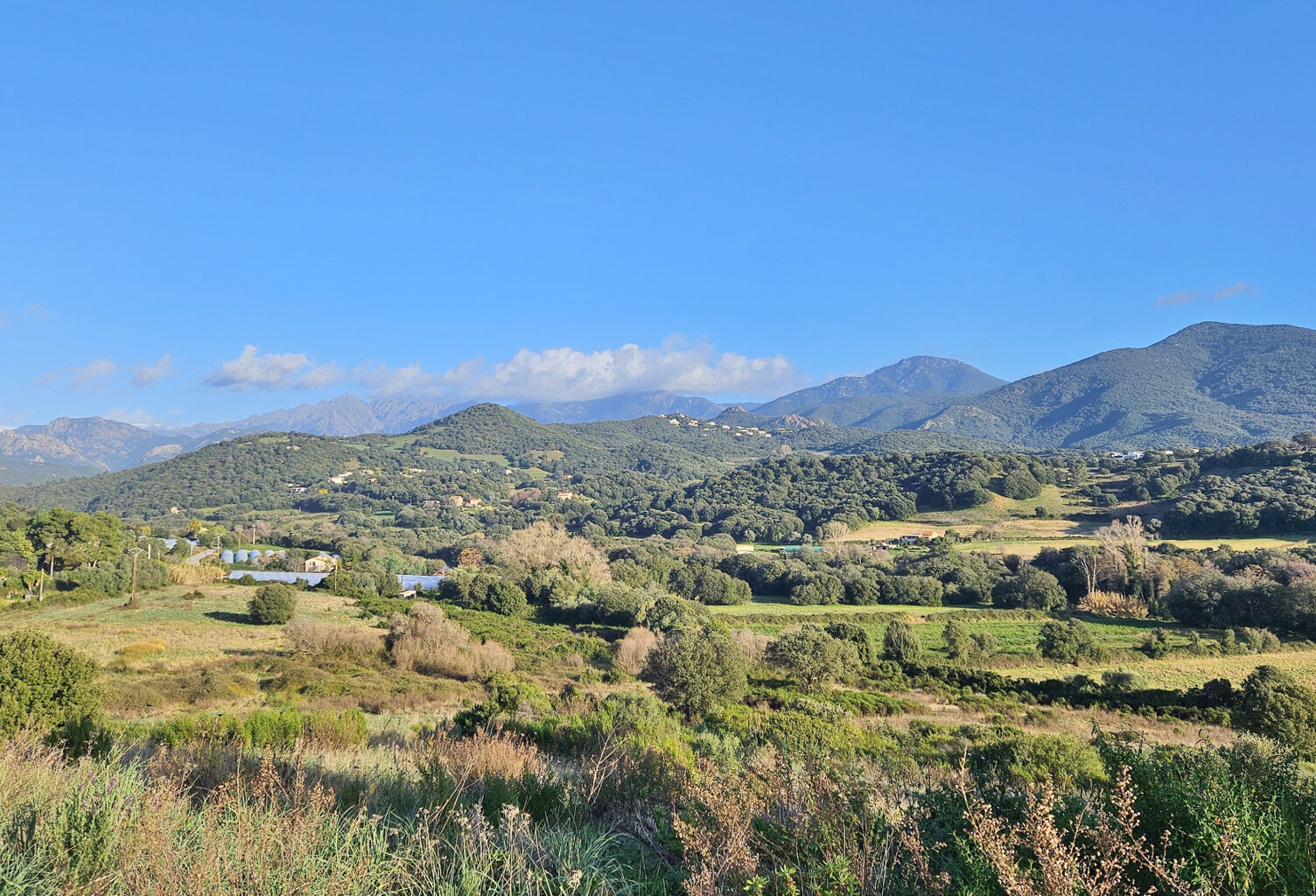 PROCHE AJACCIO Bastelicaccia Terrain viabilisé — photo 1