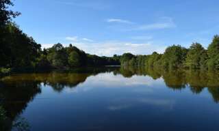 Maison  415 m² à vendre à Javerdat (87520)