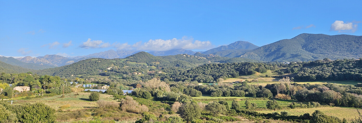 Terrain  1028 m² à vendre à Bastelicaccia (20129)