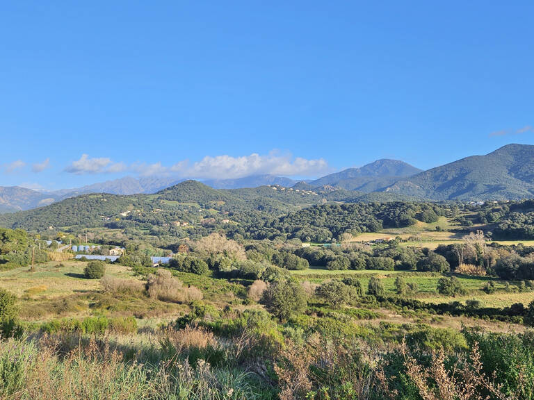 PROCHE AJACCIO Bastelicaccia Terrain viabilisé — photo 1