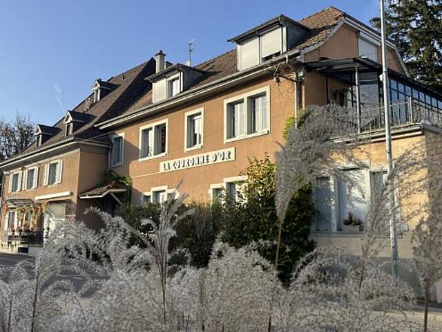 Réf: 11098*** Leymen, à deux pas de Biel Benken/CH Suisse: Charmant ensemble de charme et de caractère env. 320 m² — photo du bien