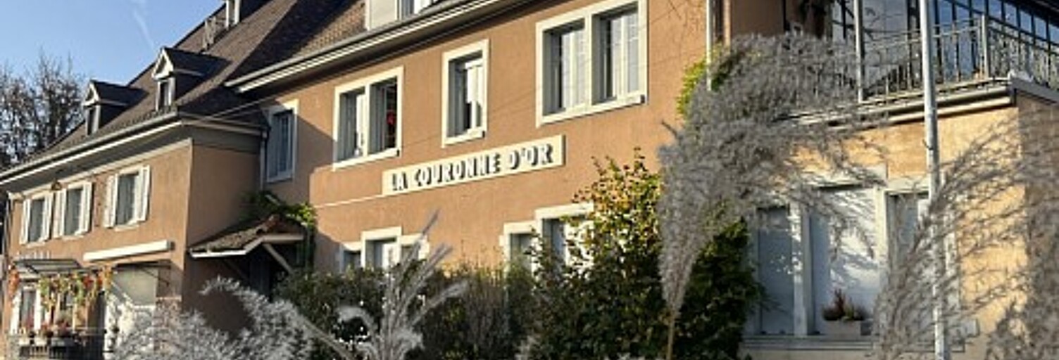 Maison 10 Pièces 320 m² à vendre à Leymen (68220)