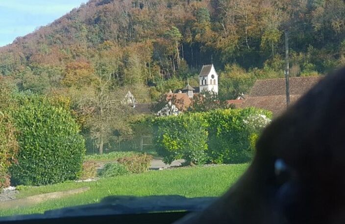 Réf: 11098*** Leymen, à deux pas de Biel Benken/CH Suisse: Charmant ensemble de charme et de caractère env. 320 m² — photo 3