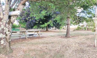 Photo N° 4
