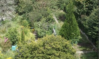 Photo N° 3